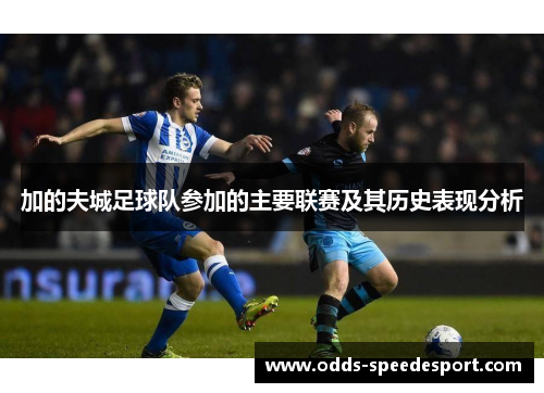 加的夫城足球队参加的主要联赛及其历史表现分析 加的夫城足球队参加的主要联赛及其历史表现分析